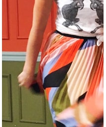 Anthropologie | スカート