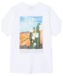STUSSY | CACTUS SKY TEE(Tシャツ/カットソー)