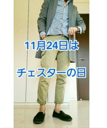 １１月２４日はチェスターの日 | その他