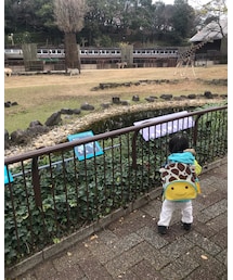 動物園でキリンリュックを背負ってキリンさんと | フィギュア