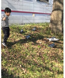 鳩狩り🕊 | フィギュア