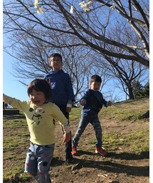 桜はまだでした😫 | フィギュア