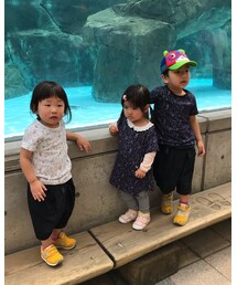 去年の動物園にて | バッジ