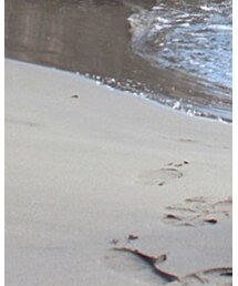 BALENCIAGA | スニーカー