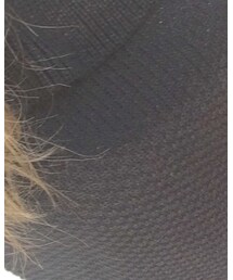 CECIL McBEE | ニット/セーター