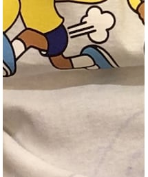 Champion | Tシャツ/カットソー