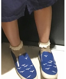 靴下屋 | ソックス/靴下