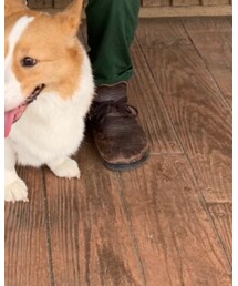 BIRKENSTOCK | サンダル