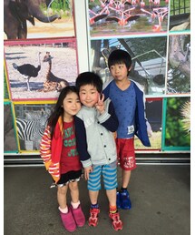 ちびず | その他