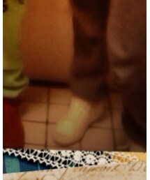 JACK PURCELL | スニーカー