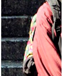 GREGORY | バックパック/リュック