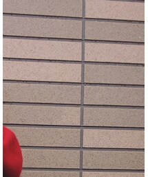 Champion | Tシャツ/カットソー