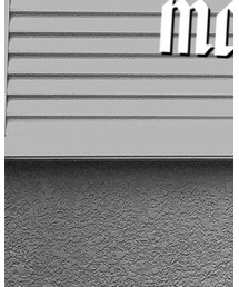 モノクロ写真加工フェス | その他