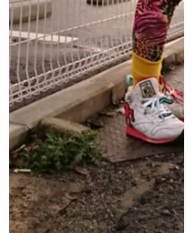 Reebok | スニーカー