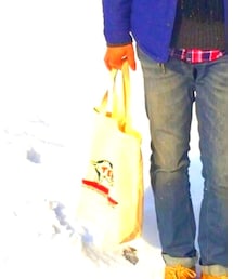 The Endless Summer | トートバッグ