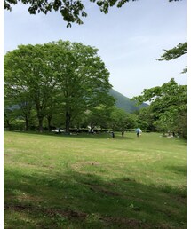 ピクニック | その他