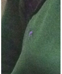 POLO RALPH LAUREN | スウェット