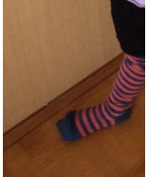 BOBO CHOSES | タイツ/ストッキング