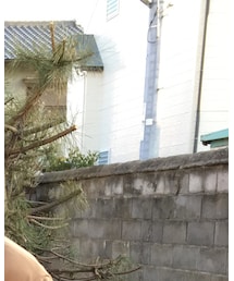 RAGEBLUE | メガネ