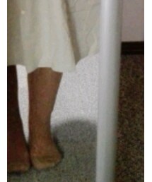 靴下屋 | ソックス/靴下