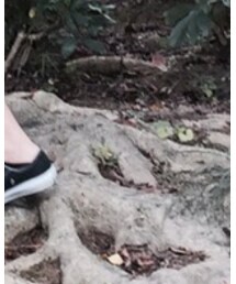 CONVERSE | シューズ