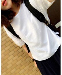 🐶🐶🐶 | その他