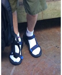 Champion | ソックス/靴下