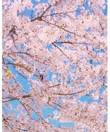 ソウル | その他