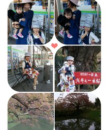 浅井の一本桜🌸見に行きましたが･･ | (福袋/福箱)