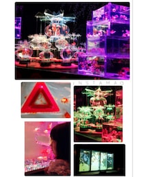 🐠美しい金魚たち✨✨ | ポスター/アート