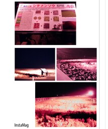 海の紅葉🍁✨ | その他