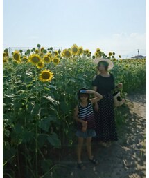 🌻🌞🌻向日葵🌻🌞🌻 | 福袋/福箱