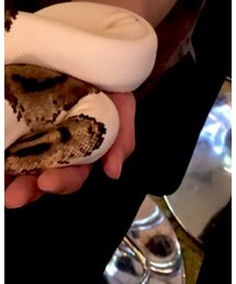 UNIQLO | チノパンツ