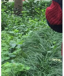 TOMMY HILFIGER | ダウンジャケット/コート