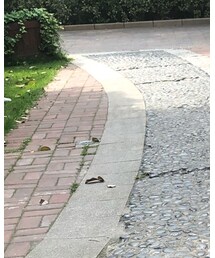 valmen kids | Tシャツ/カットソー