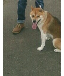 HARE | その他シューズ