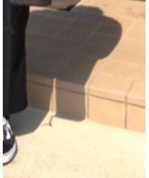 VANS | スニーカー