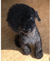 Fuki☻*⑅ | 愛しのマイボーイ☻*⑅♡⃛(その他)