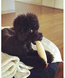 今日の芙貴その1 | その他