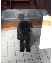 今日の芙貴その２ | その他