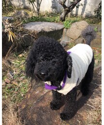 朝のトイレ休憩☻*⑅ | その他