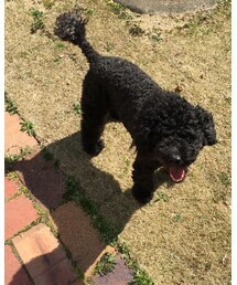 アチアチ〜 | その他