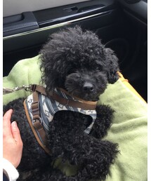 実家に通勤スタイル♡ | その他