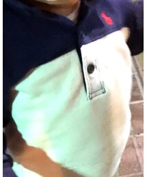 RALPH LAUREN | スウェット