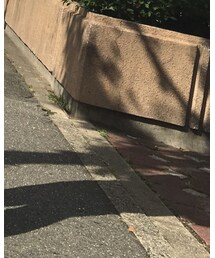 GAP | デニムパンツ