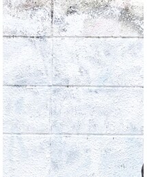 crepuscule | 帽子