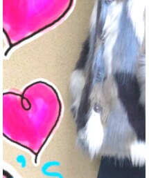 BRANSHES | ジャケット/アウター