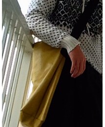 家にあったやつ | ショルダーバッグ