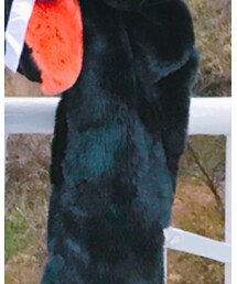 MURUA | マフラー