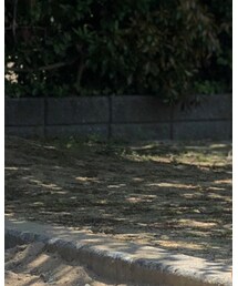 西松屋 | Tシャツ/カットソー